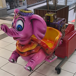 elefant